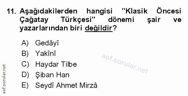 Soru 11