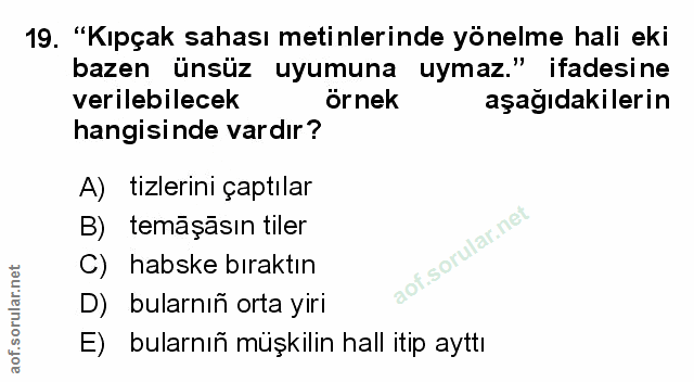 Soru 19