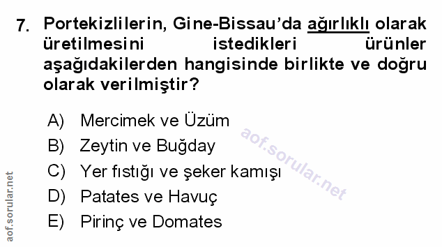 Soru 7