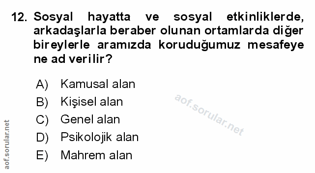 Soru 12
