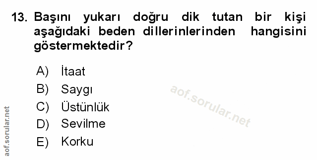 Soru 13