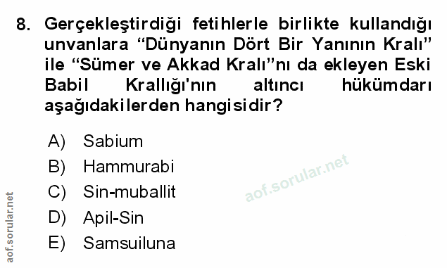 Soru 8