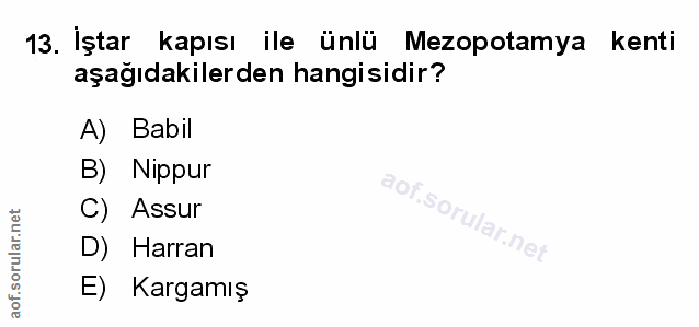 Soru 13