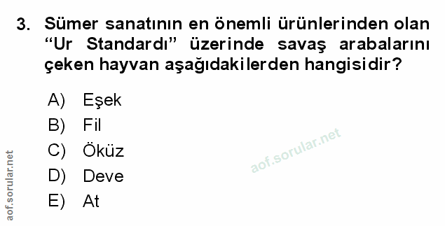 Soru 3