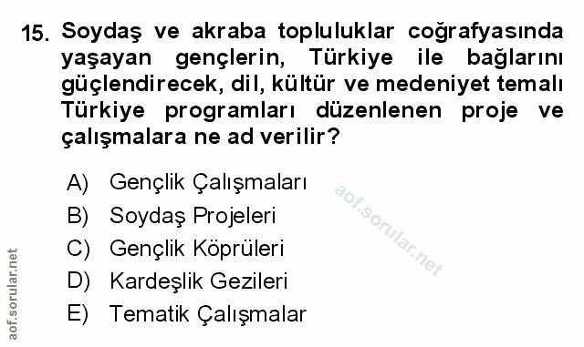 Soru 15