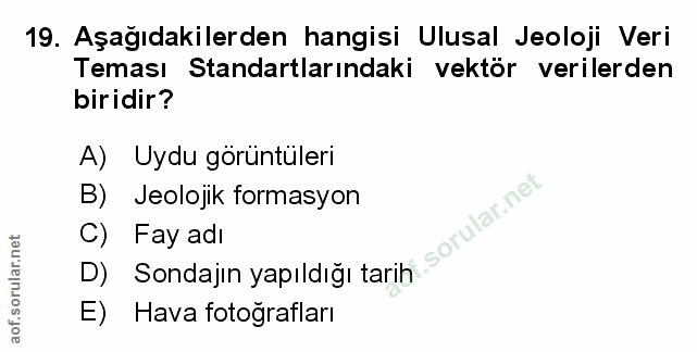 Soru 19