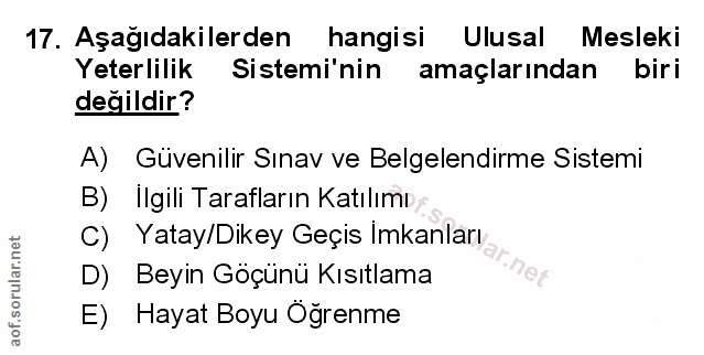 Soru 17