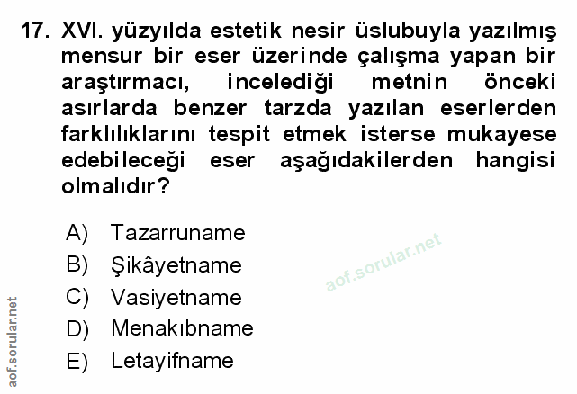 Soru 17
