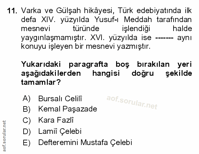 Soru 11