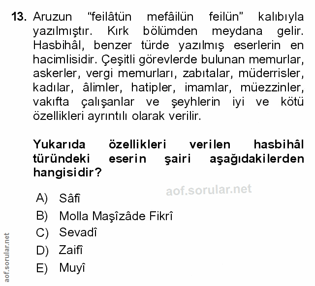 Soru 13