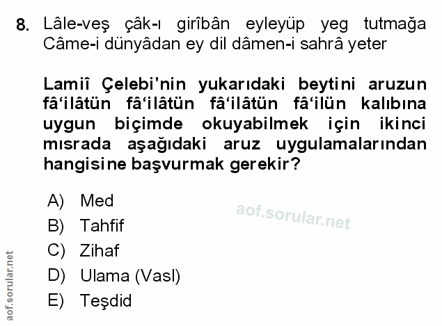 Soru 8