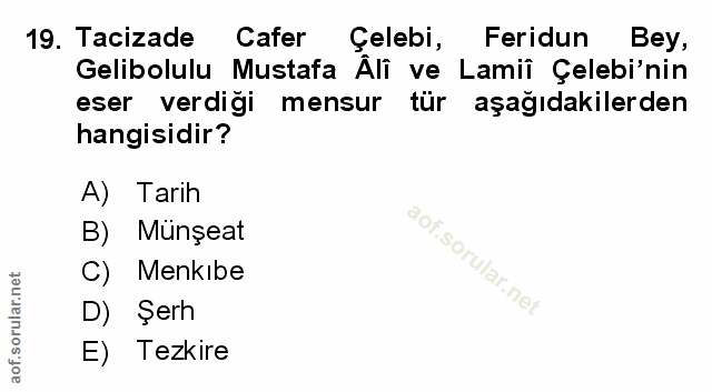 Soru 19