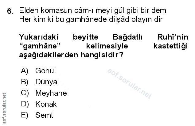 Soru 6