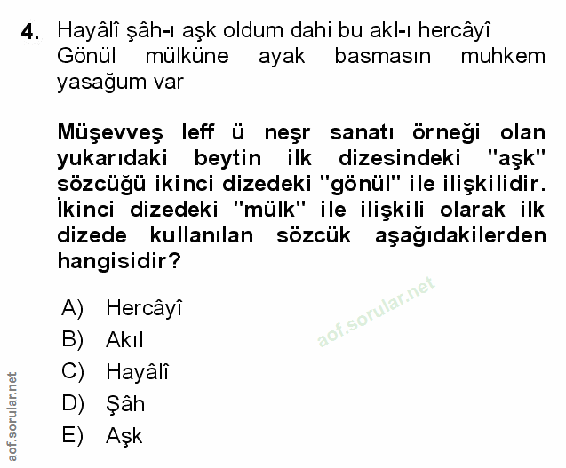 Soru 4
