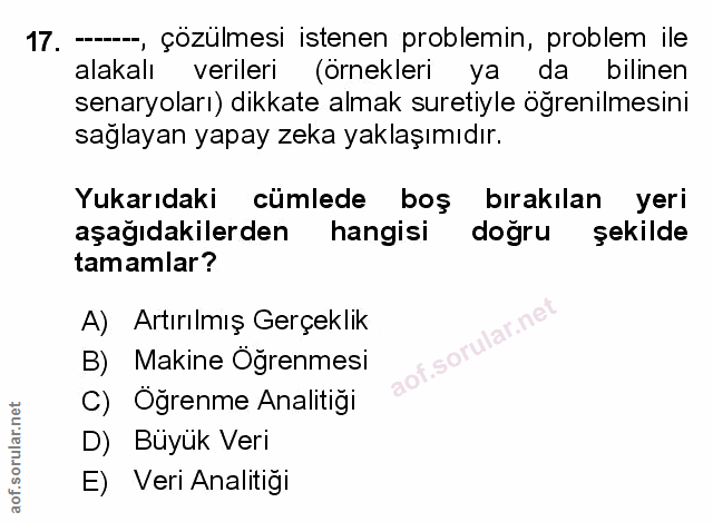 Soru 17