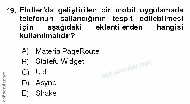 Soru 19