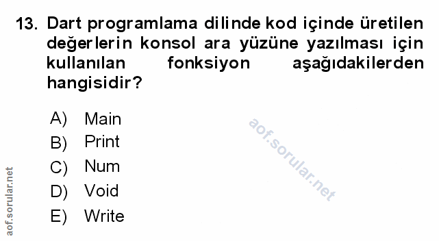 Soru 13