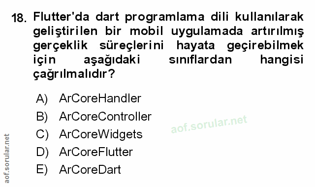 Soru 18