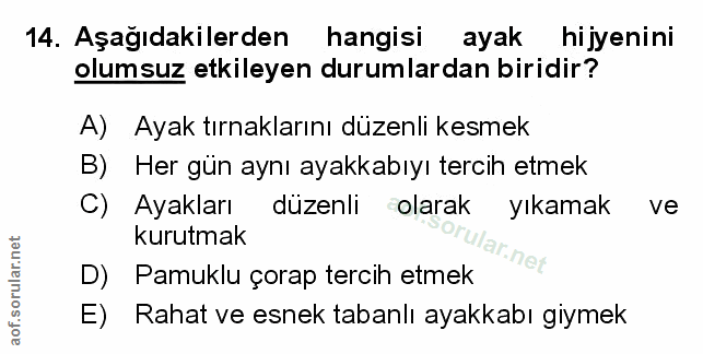 Soru 14