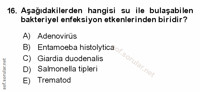 Soru 16