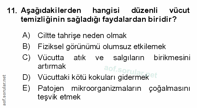 Soru 11