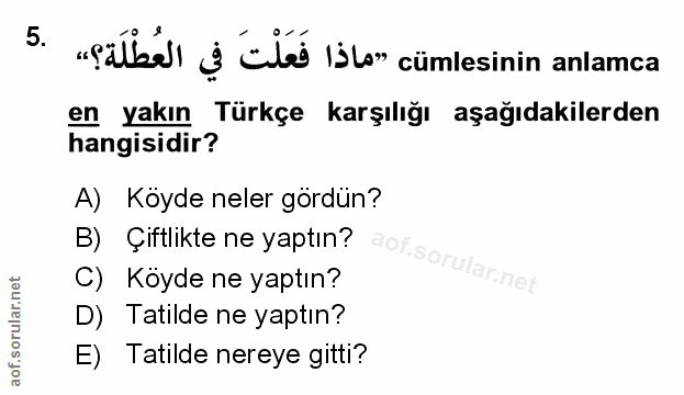Soru 5