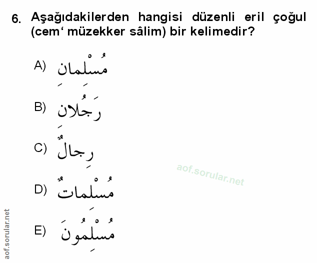 Soru 6