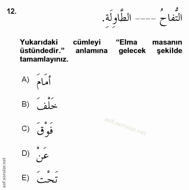Soru 12