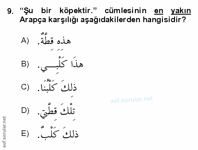Soru 9
