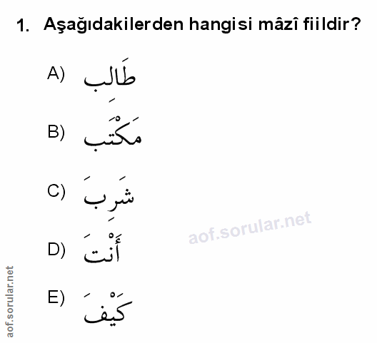 Soru 1