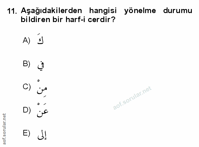 Soru 11