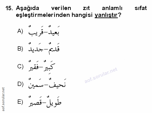 Soru 15