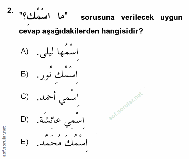 Soru 2