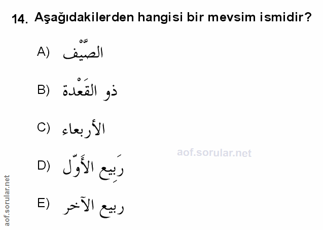 Soru 14