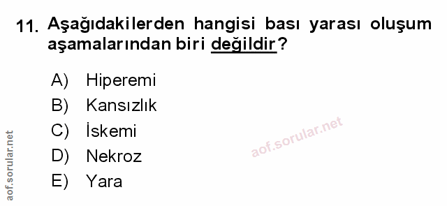 Soru 11