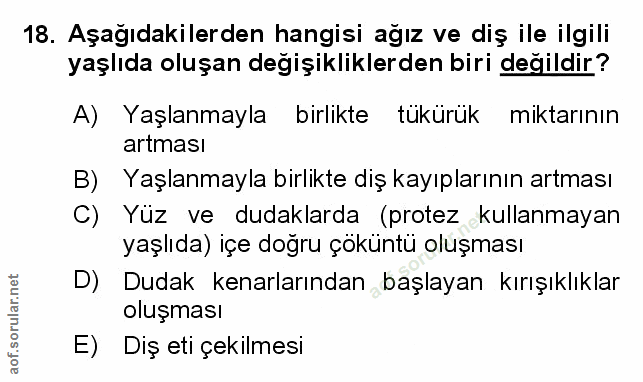 Soru 18