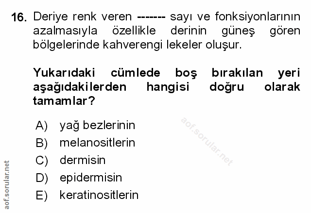 Soru 16