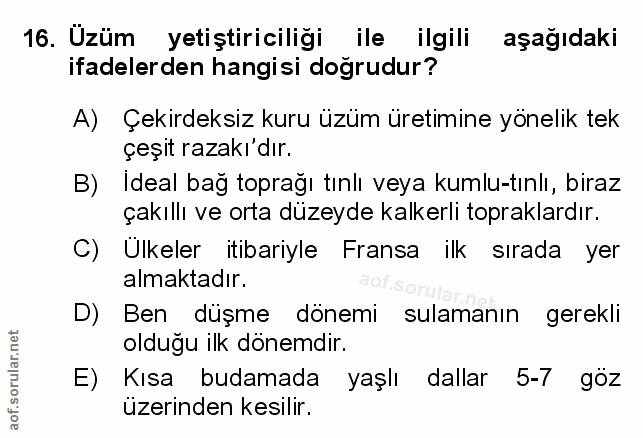 Soru 16