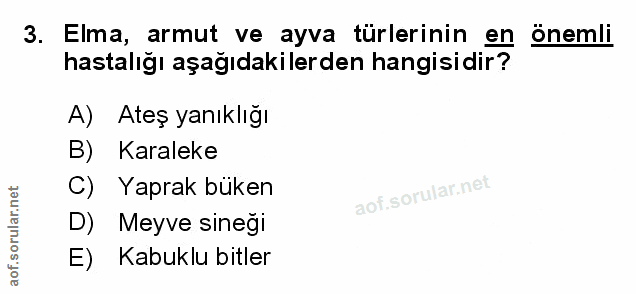 Soru 3