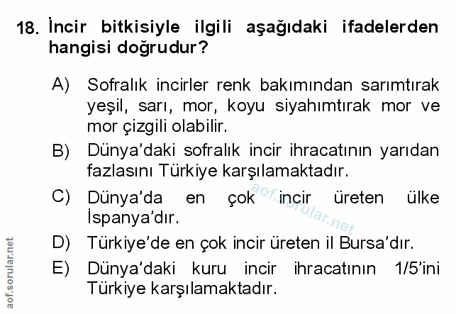 Soru 18