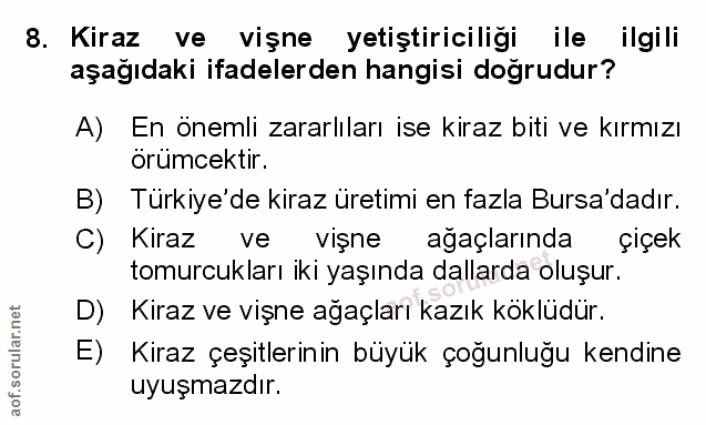 Soru 8