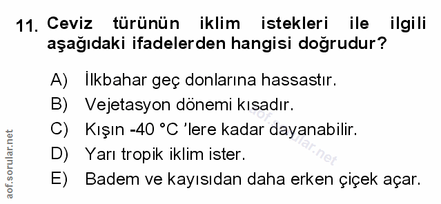 Soru 11