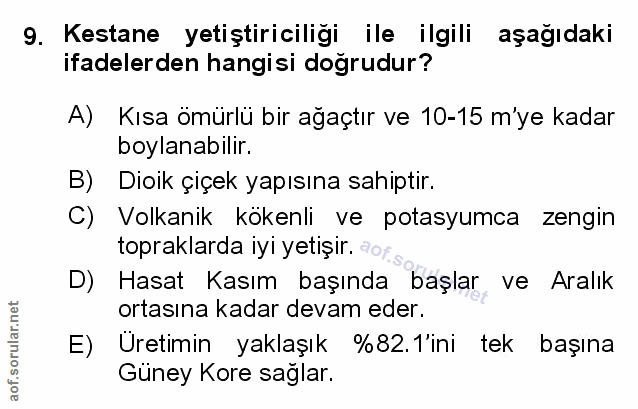Soru 9