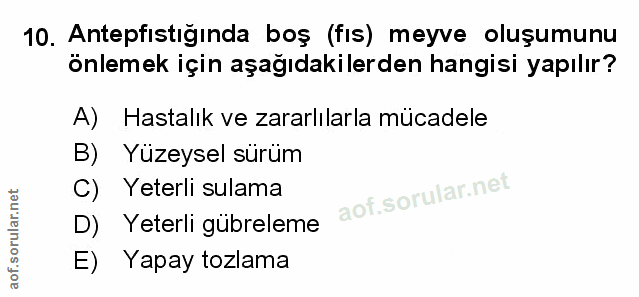 Soru 10