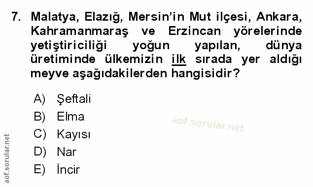 Soru 7