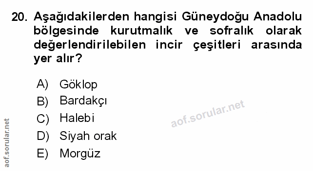 Soru 20