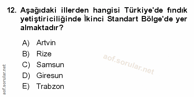 Soru 12