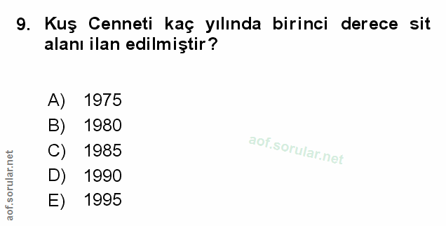 Soru 9