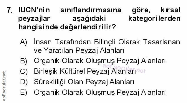 Soru 7