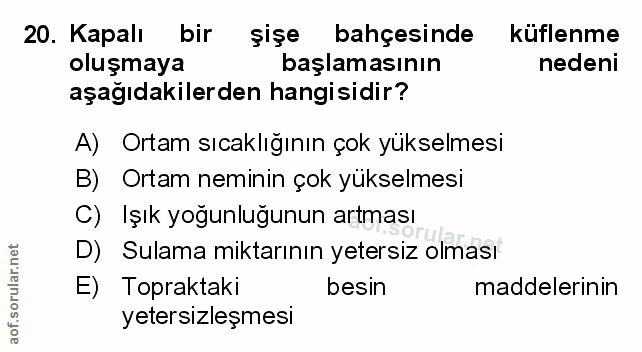 Soru 20